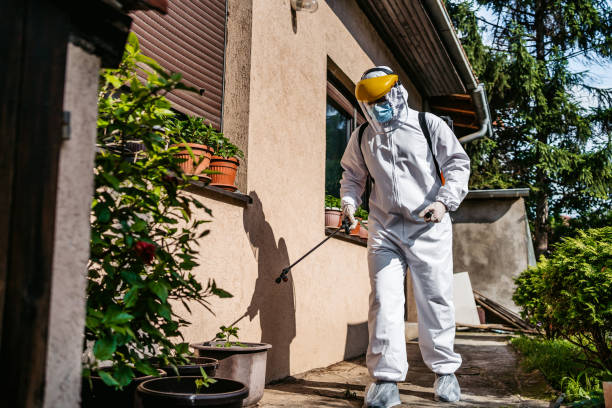 Best Emergency Pest Control  in Marlow Heights, MD