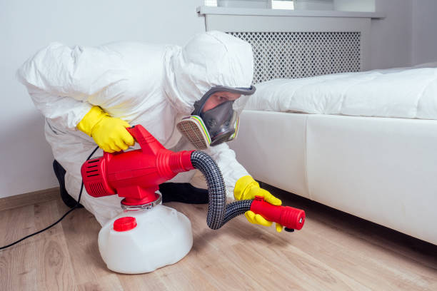Best Mosquito Control Services  in Marlow Heights, MD