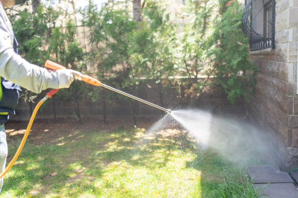 Reliable Marlow Heights, MD Pest Control Solutions