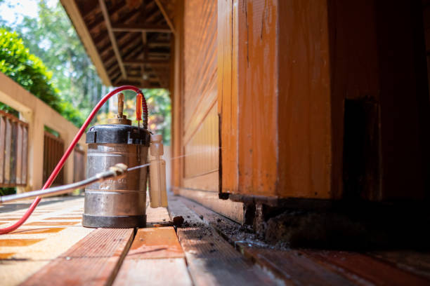 Best Best Pest Control Companies  in Marlow Heights, MD