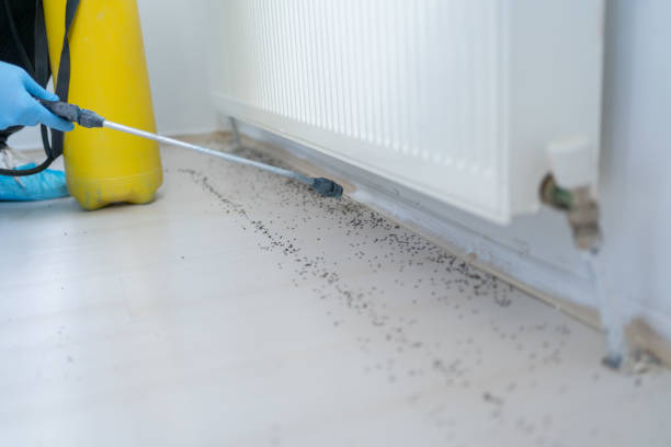 Best Exterminator Services  in Marlow Heights, MD