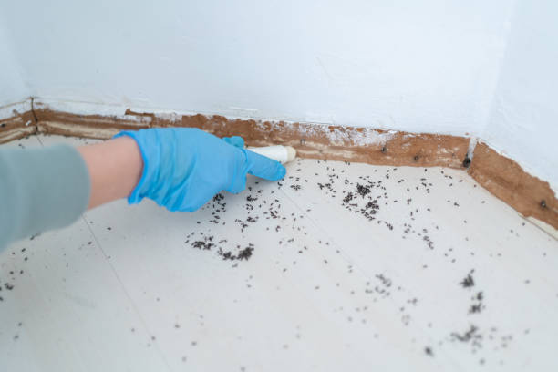 Best Pest Inspection Near Me  in Marlow Heights, MD