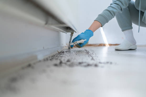 Best Pest Removal Services  in Marlow Heights, MD